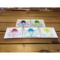 Amazon.co.jp: 七宝の栞 七宝焼 絵皿 銘々皿 5枚セット 食器